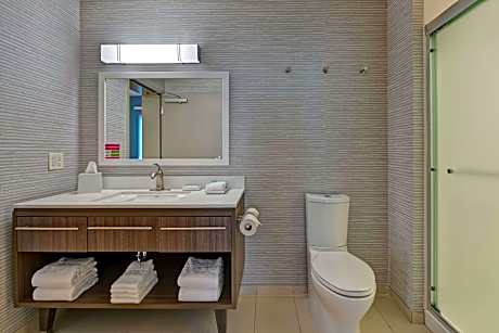1 King Bed 1 Bedroom Suite Nonsmoking