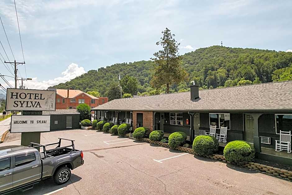 Photo 1 of 32 of Hotel Sylva