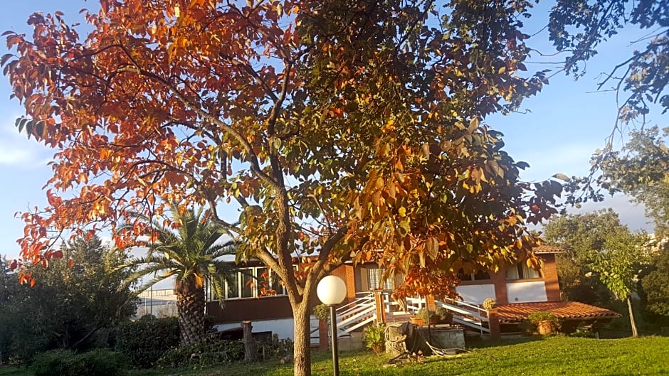 B&B Le Cinque Querce