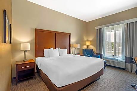 1 King Bed, Nonsmoking