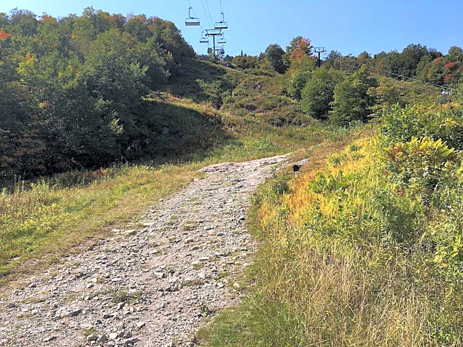 La Maison de Ville - bed & bistro