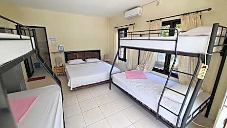 Bed in 4-Bed Dormitory Room