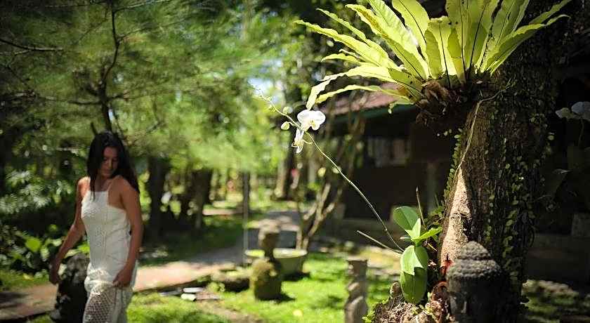 Taman Nauli Boutique Rooms