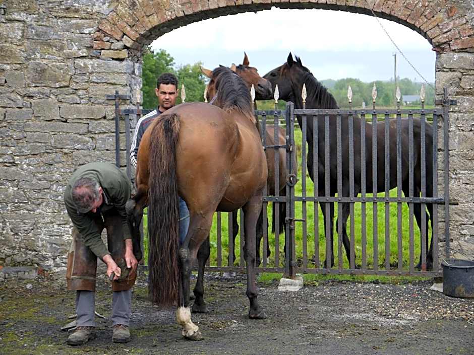 The Carriage Houses at Beechpark House