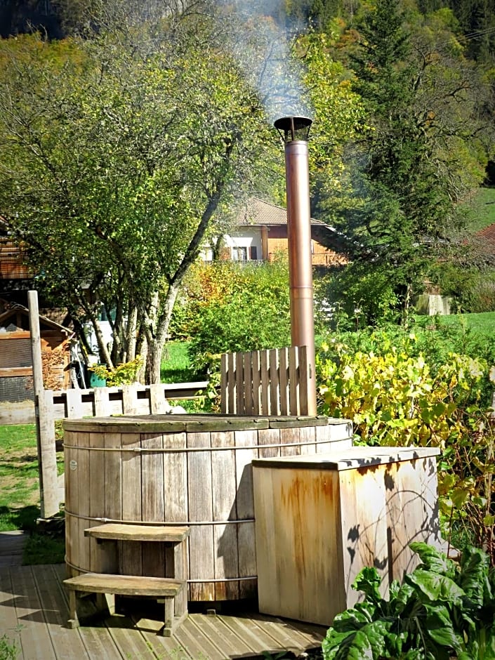 Chalet trappeur