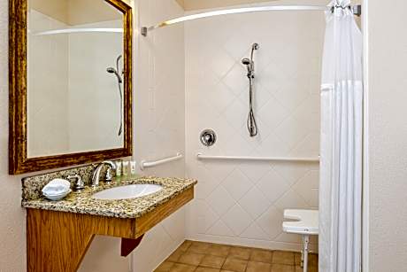 2 King 2 Bdrm Ste Comm Access Roll Shwr