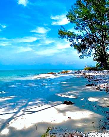 Welcome To The Paradise