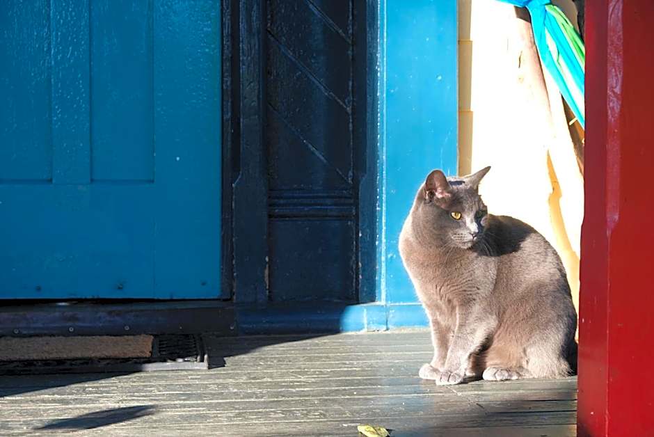 Chester St Backpackers
