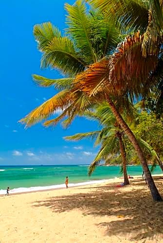 Residence La Goelette