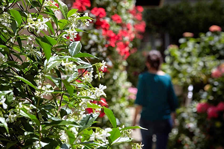 Hotel-Restaurant Le Vert Galant