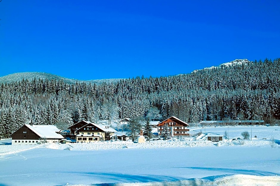 Wellness- und Vitalhotel Böhmhof