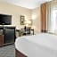 Comfort Inn Detroit Downtown