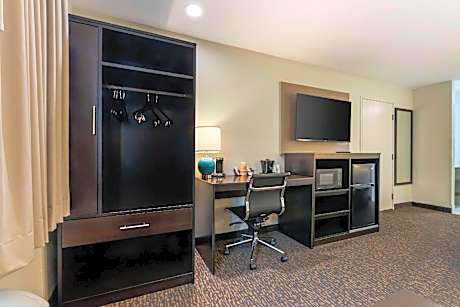 1 King Bed Suite Nonsmoking