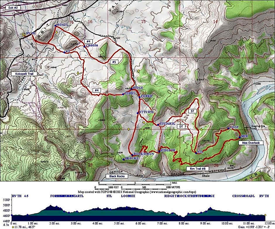 Super 8 by Wyndham Fruita