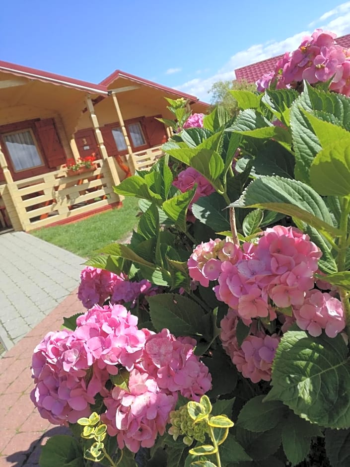 Domki drewniane OW Latarnik