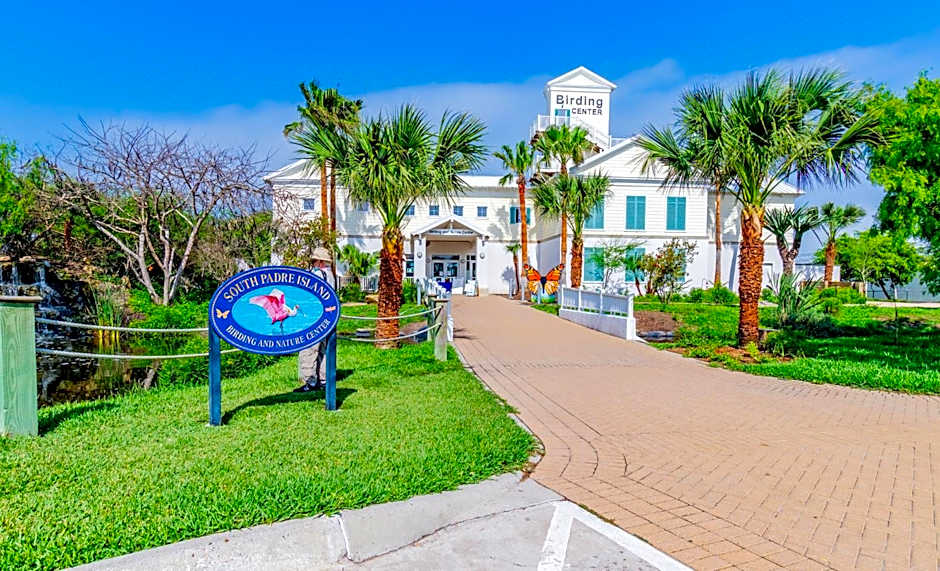 Seagull's Landing By The Ocean