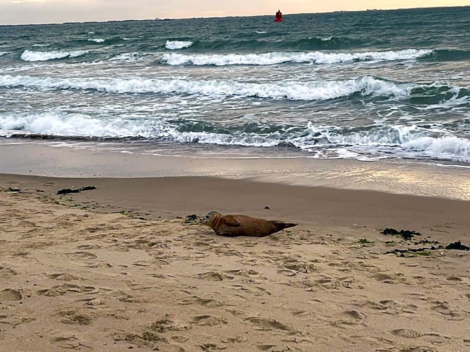 Luxe prive-kamer - studio in villa aan zee, Dishoek, vernieuwd
