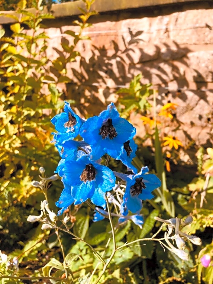 Florence Nightingale Suites At Lea Hurst