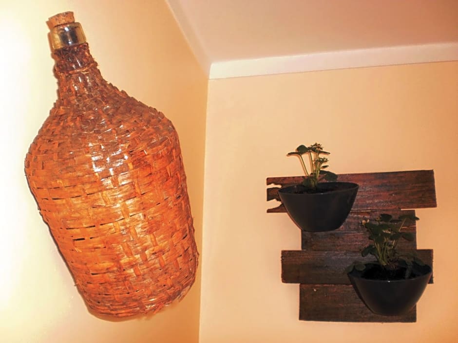 SwordFish Eco-House Peniche