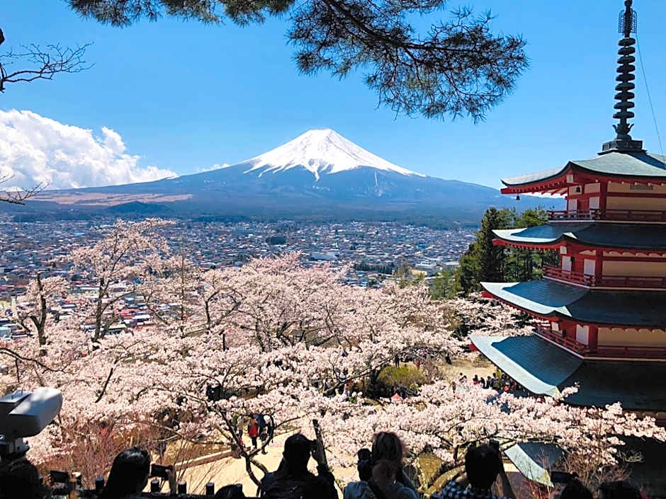 Megu Fuji 2021