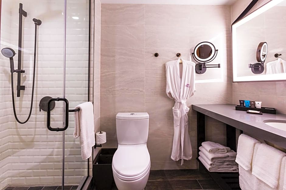 Crowne Plaza HY36 Midtown Manhattan By IHG