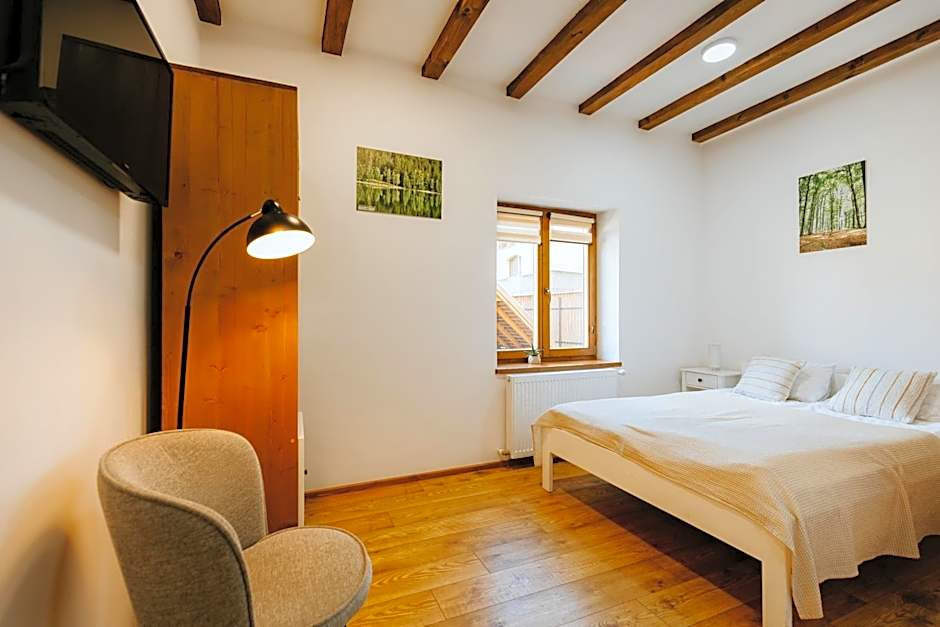 Pensiunea Violin Panzió