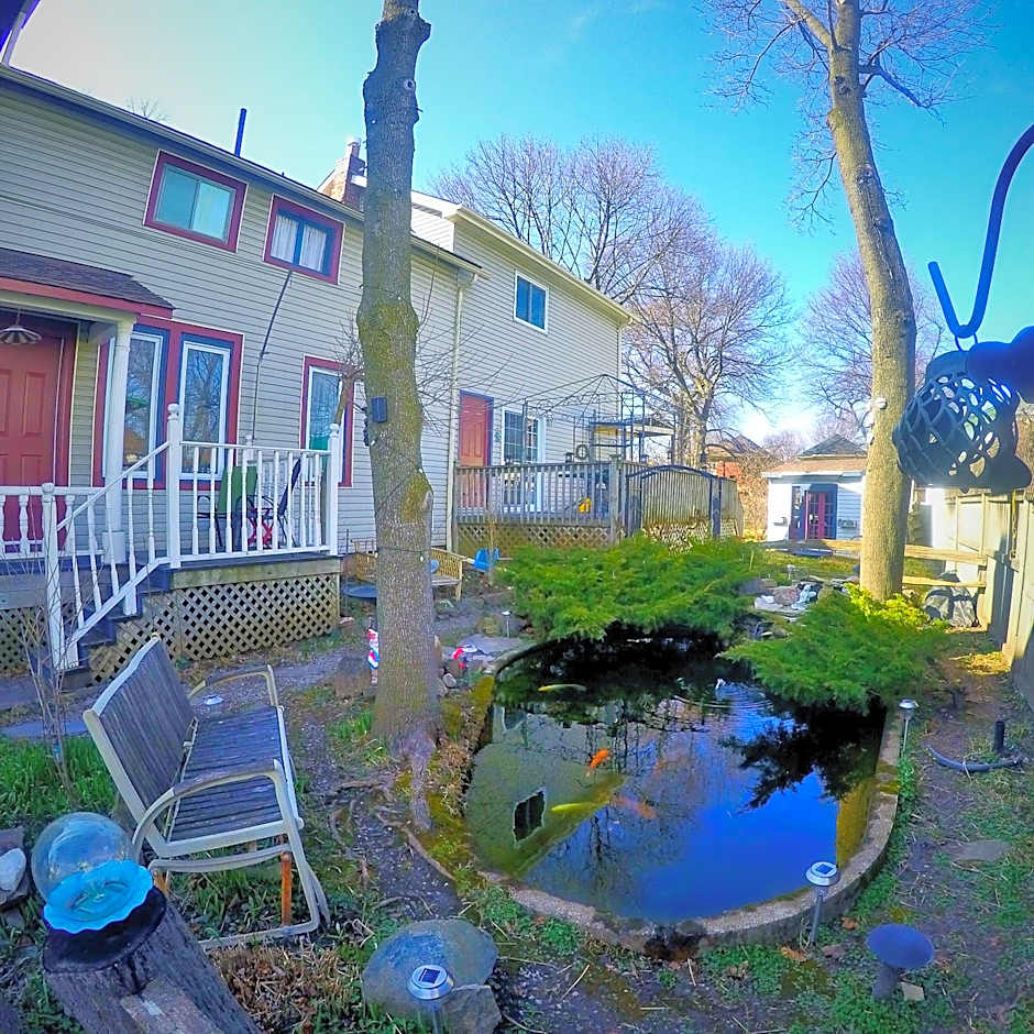 Blue Gables Bed and Breakfast