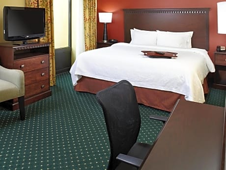 Non-Smoking Studio King Suite