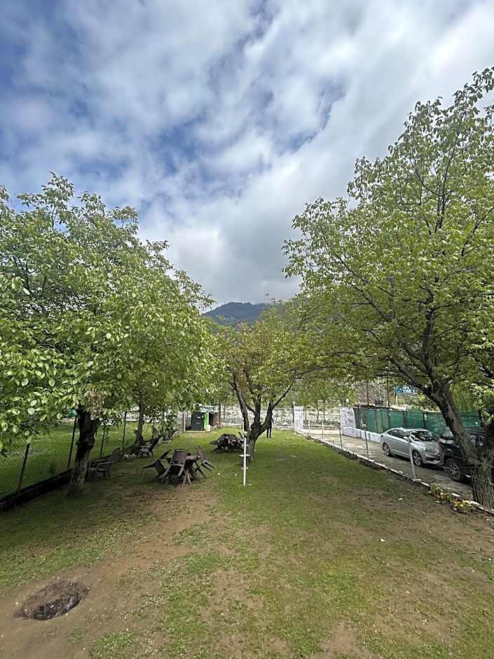 Walnut Tree Pahalgam — 24 fotoğraftan 1. fotoğraf