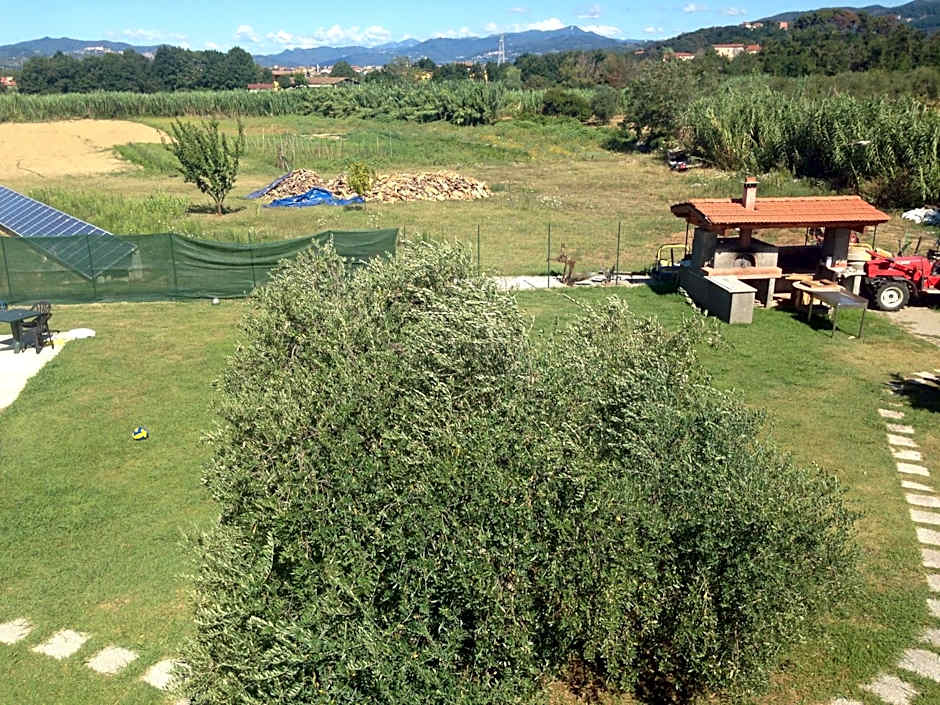 Villa Naclerio