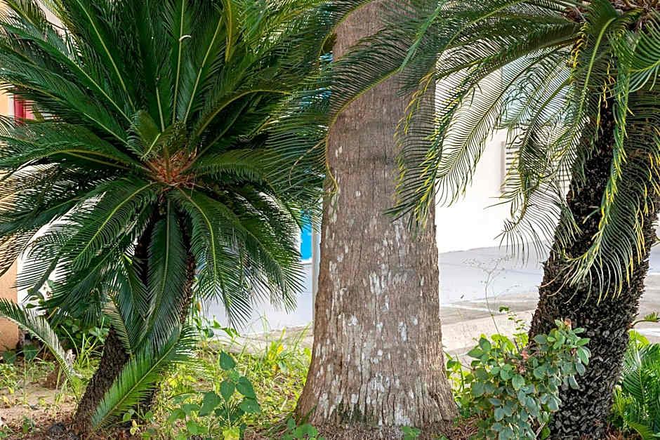 Island Inn By OYO Galveston Beach, TX