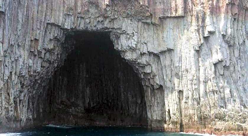 Dreaming Forest Pension