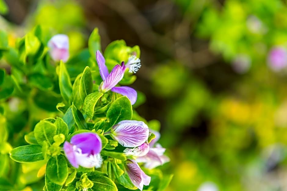 Kingfisher GuestHouse