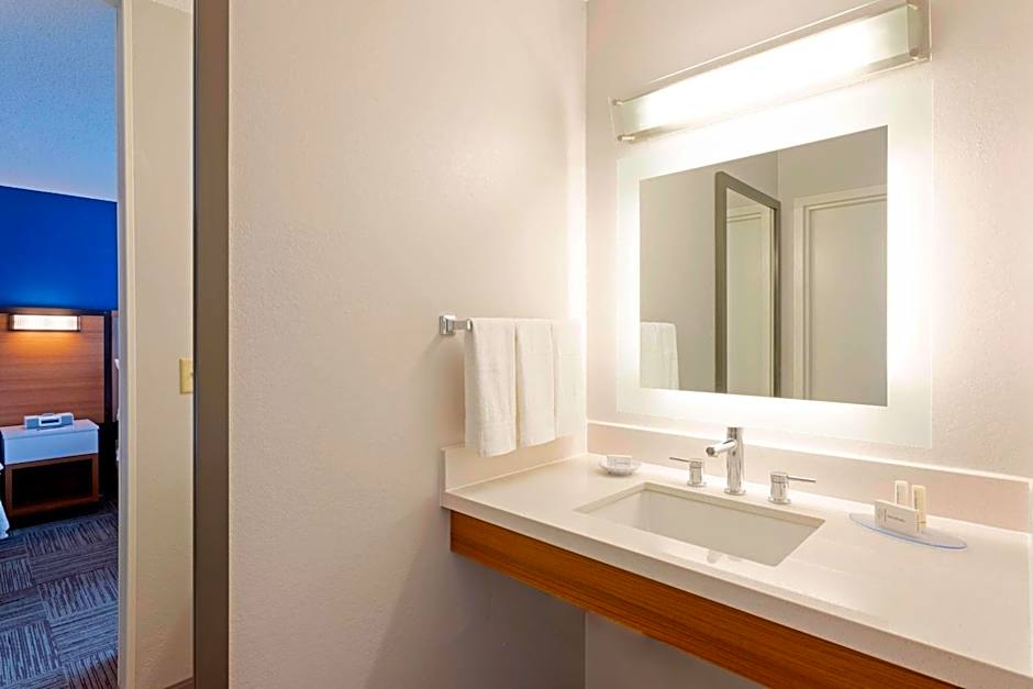 SpringHill Suites by Marriott Rochester Mayo Clinic Area/Saint Marys