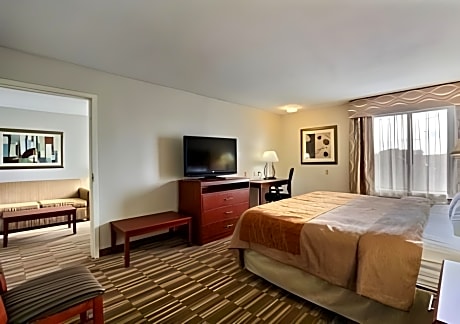 1 King Bed, Suite, Nonsmoking
