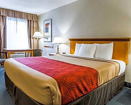 1 King Bed Nonsmoking