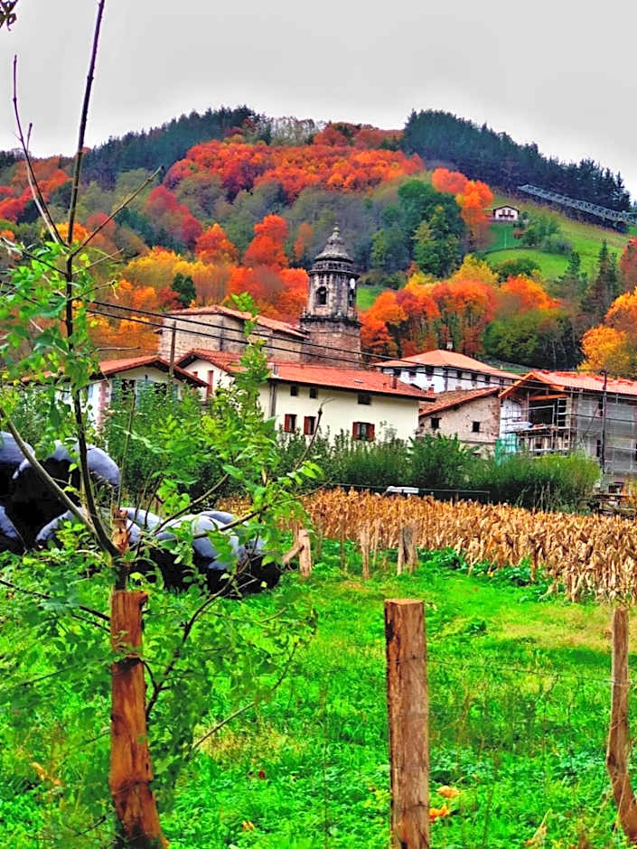 Albergue Olasenea Aterpea