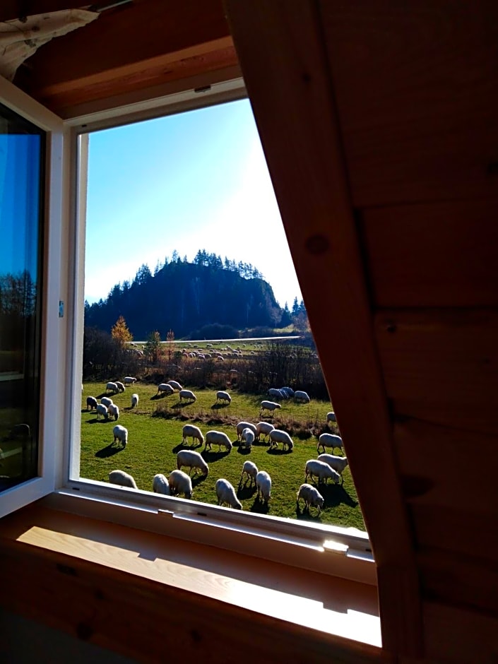 Domki Obłazówka nad Białką