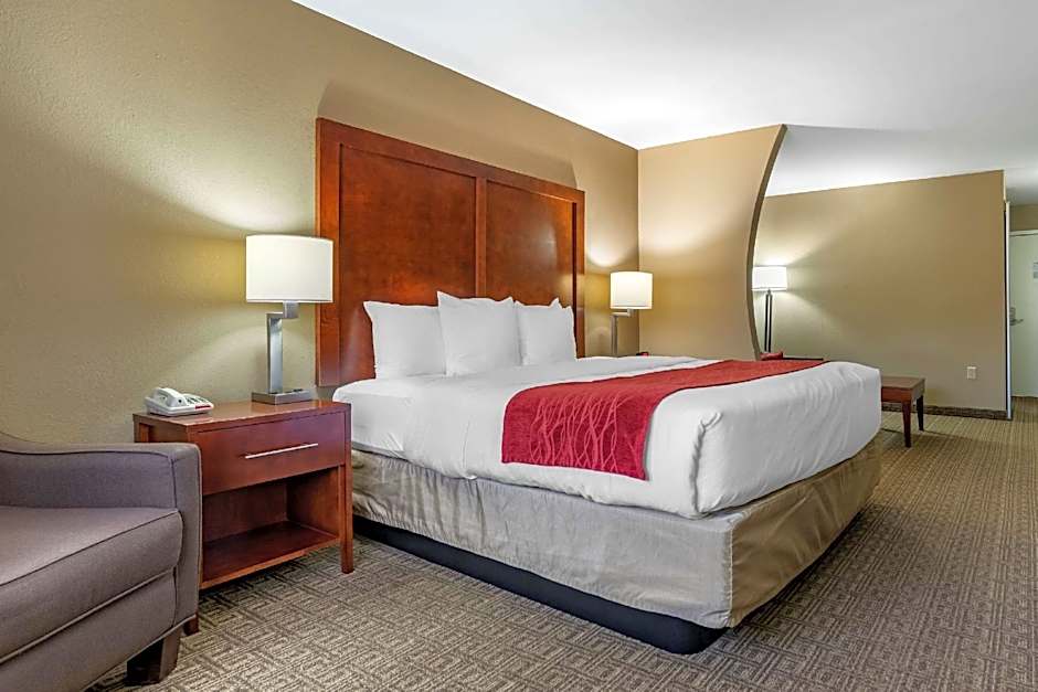 Comfort Inn & Suites Leeds I-20