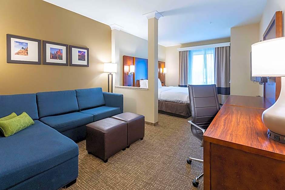 Comfort Suites Denver near Anschutz Medical Campus