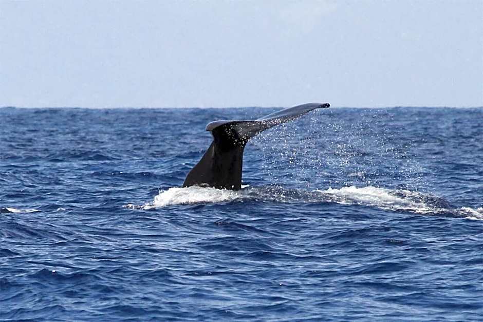 Brygga Restaurant & Room