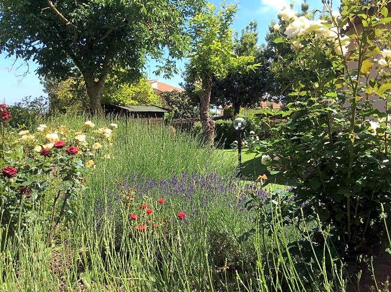 La Primavera B&B
