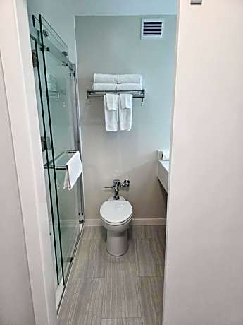 Premium King Room
