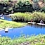 Blackwaters River Lodge, Knysna