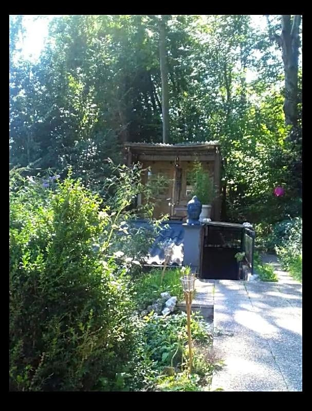 Insolite Cabane et Jacuzzi extérieur privatif