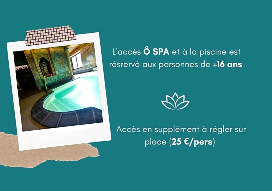 Hotel Et Spa Le Lion D'or