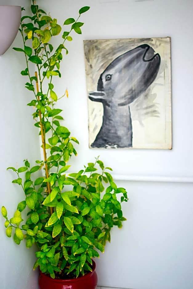 Un Patio en Santa Cruz