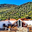 Hostel Douro Backpackers