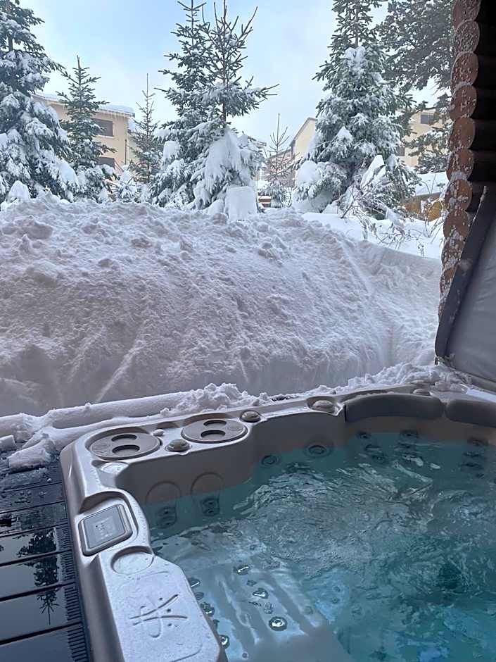 Chalet Ana & SPA