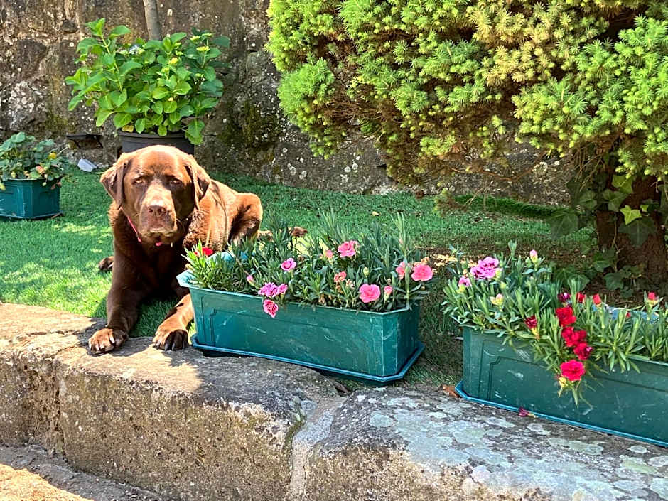 Bergui Guesthouse - Em Guimarães desde 2017